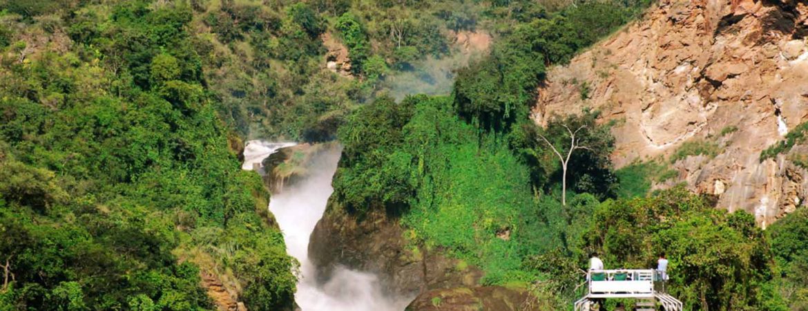 5 Days Uganda Wildlife & Chimpanzee Trekking Safari