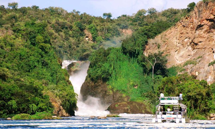 5 Days Uganda Wildlife & Chimpanzee Trekking Safari